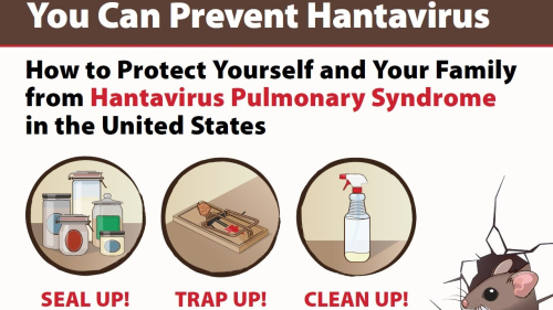 hantavirus
